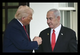 1114856.jpeg 300x200 1