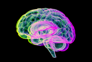 68da8ded423604266d5e4156 300x195 1