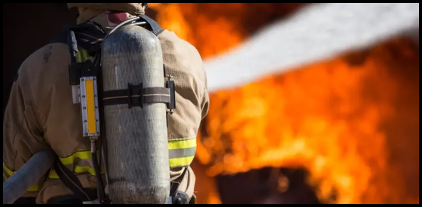 Doc P 1422553 638946749017869811