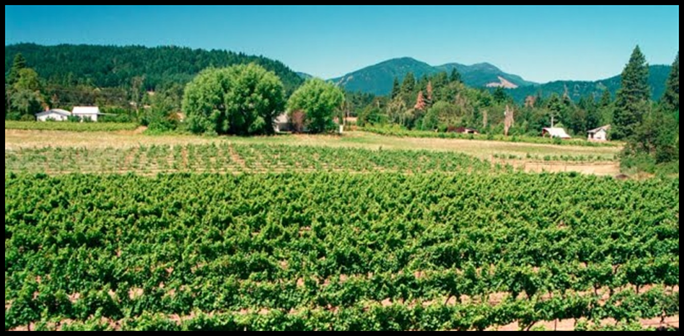 Doc P 1422908 638947454784089251