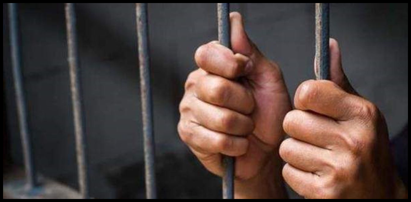 Doc P 1423599 638948527796830267