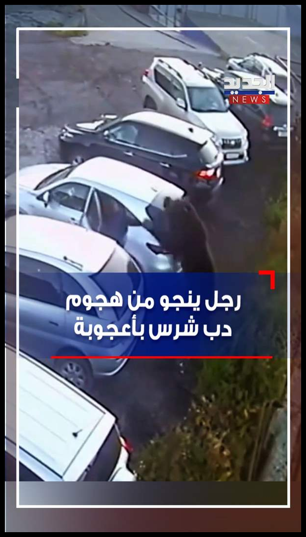 Doc P 545584 638947514241893605