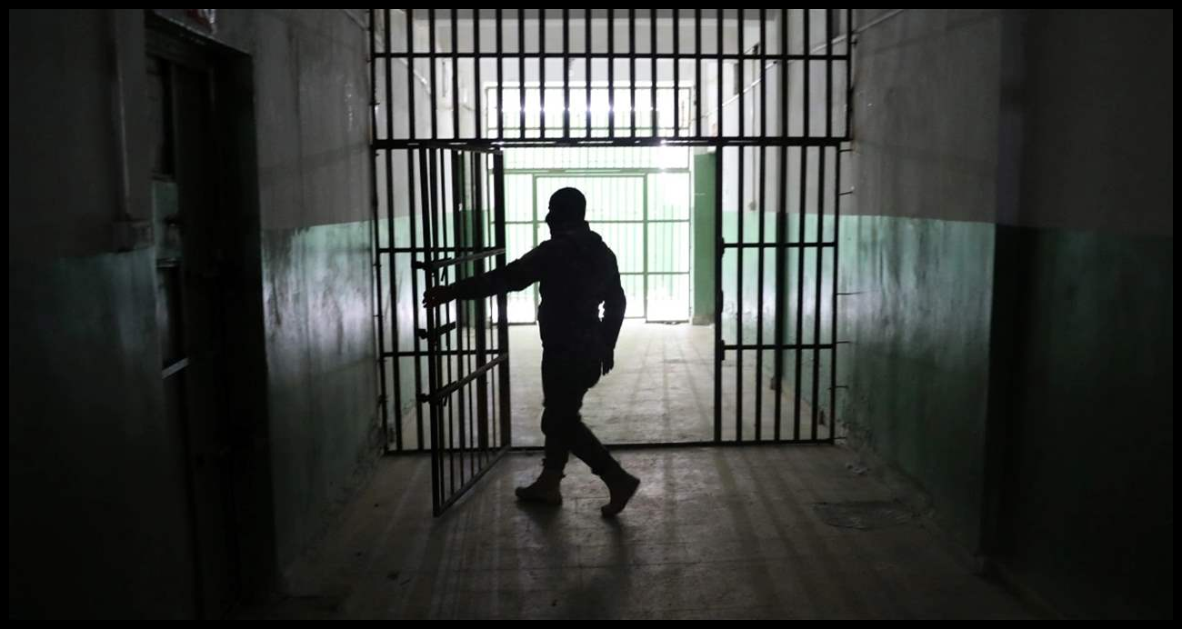 Doc P 545680 638948425004771424