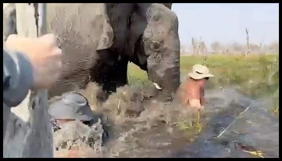 Doc T 881252 638947585497764746