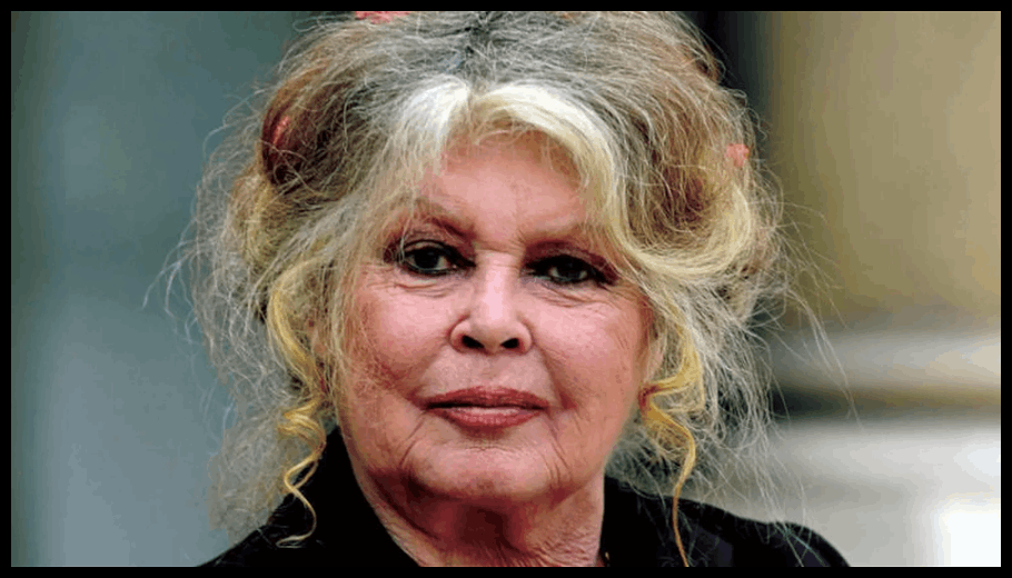 Doc T 881504 638948376233888051