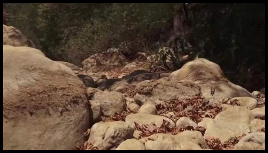 Doc T 881541 638948513120259132