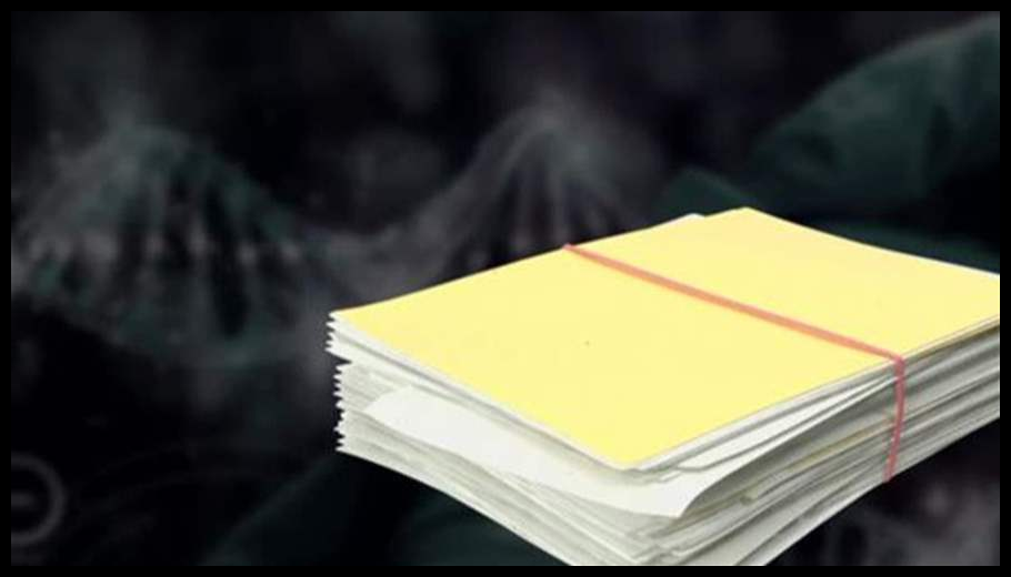 Doc T 881542 638948513577368179