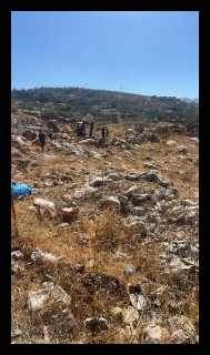 بالفيديو: غارة على حفّارة في "الشمسية" وإصابة سائقها 1 G2As yvXYAAsLTi 1 169x300 1