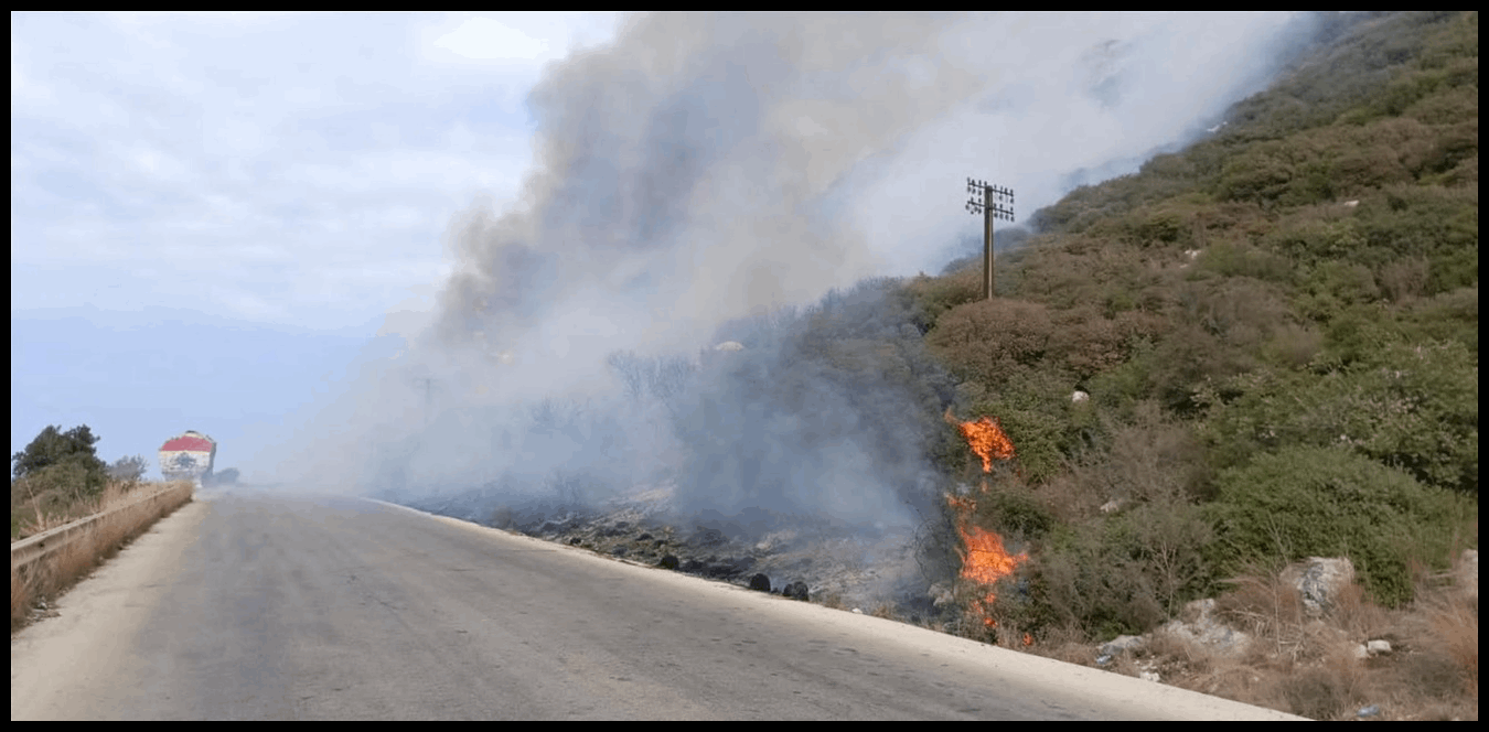 Doc P 1425289 638952022703416293