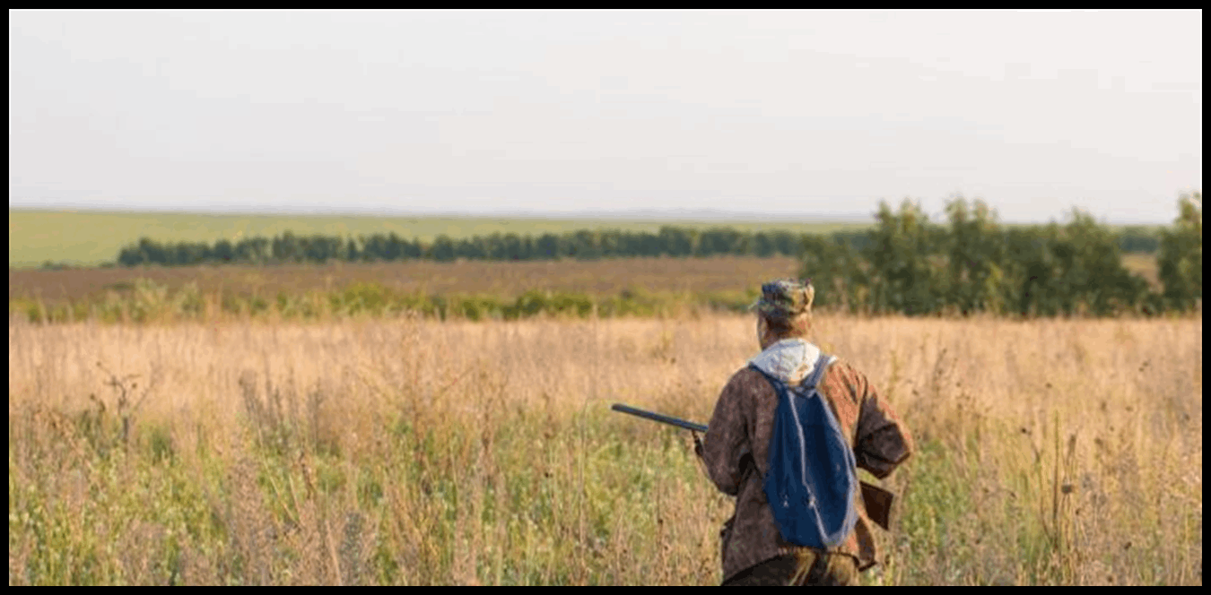 لا التزام.. و "كل مين فاتح على حسابو"! 1 Doc P 1433124 638968324010073001