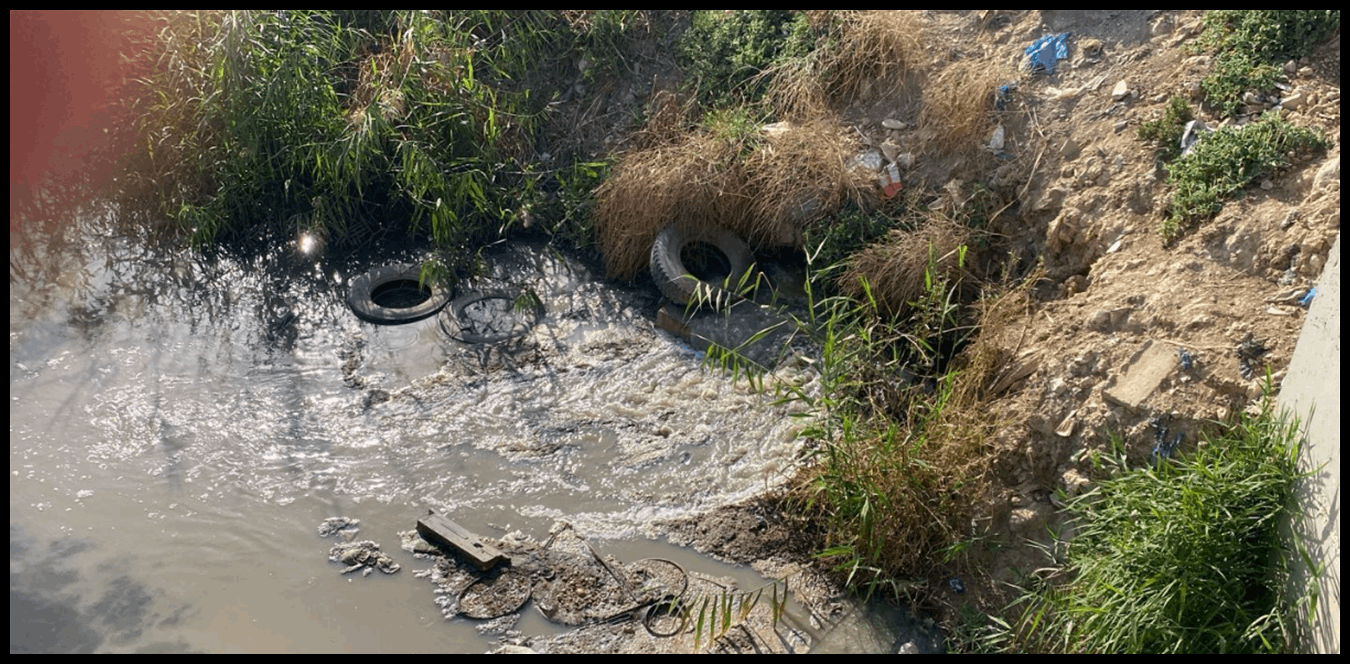 Doc P 1433156 638968362758728084