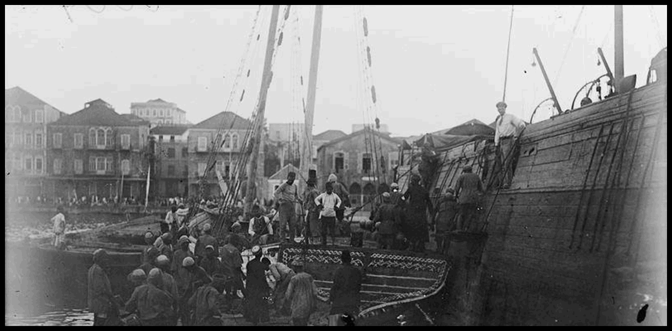 حين سقطت بيروت بيد الحلفاء.. يومان هادئان غيّرا قرنًا كاملا (صور) 1 Doc P 1433436 638968973705738848