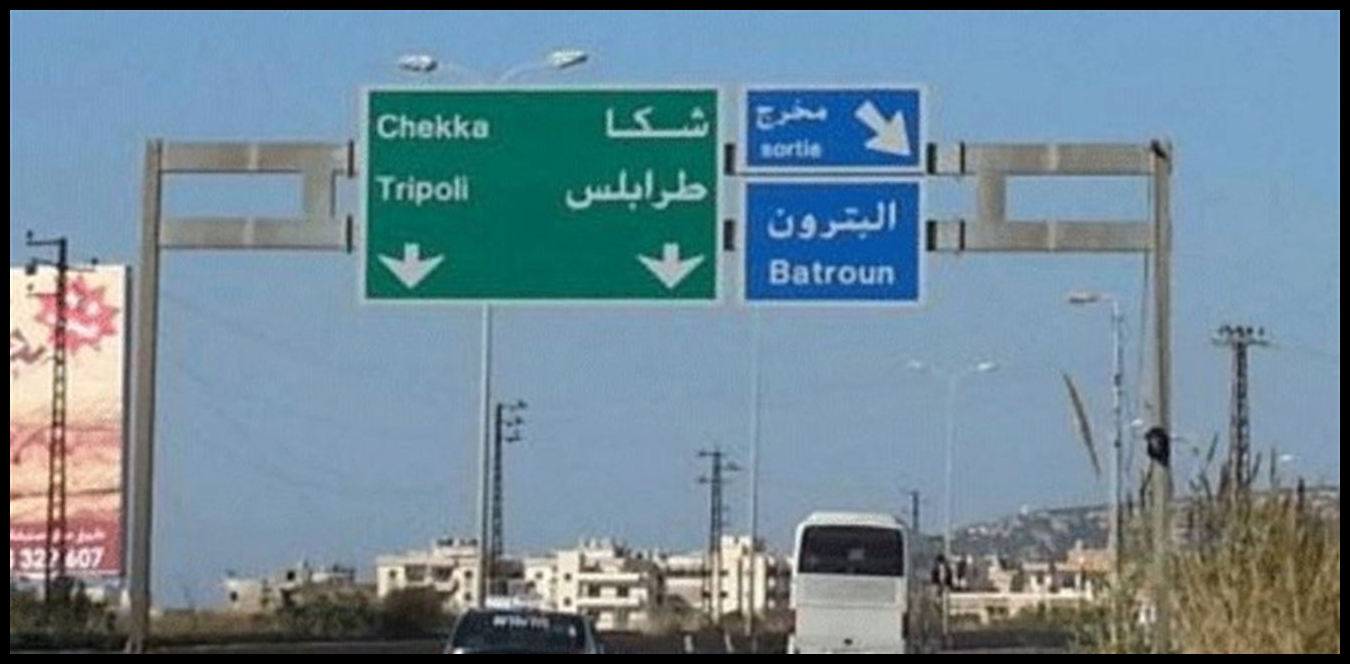 لقاء بين مخاتير شكا ورئيس بلديتها لبحث ظاهرة انتشار الكلاب الشاردة 1 Doc P 1435485 638973393453600767