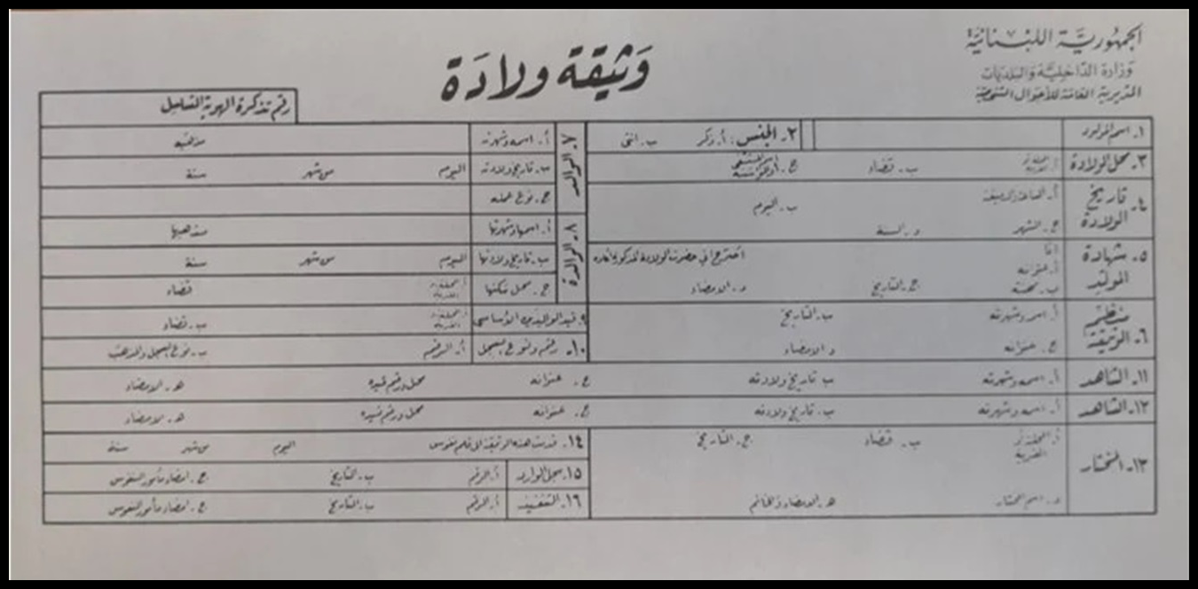 بالأرقام.. اكتشفوا عدد "ولادات ووفيات لبنان" في يومٍ واحد 1 Doc P 1435699 638973724671713434