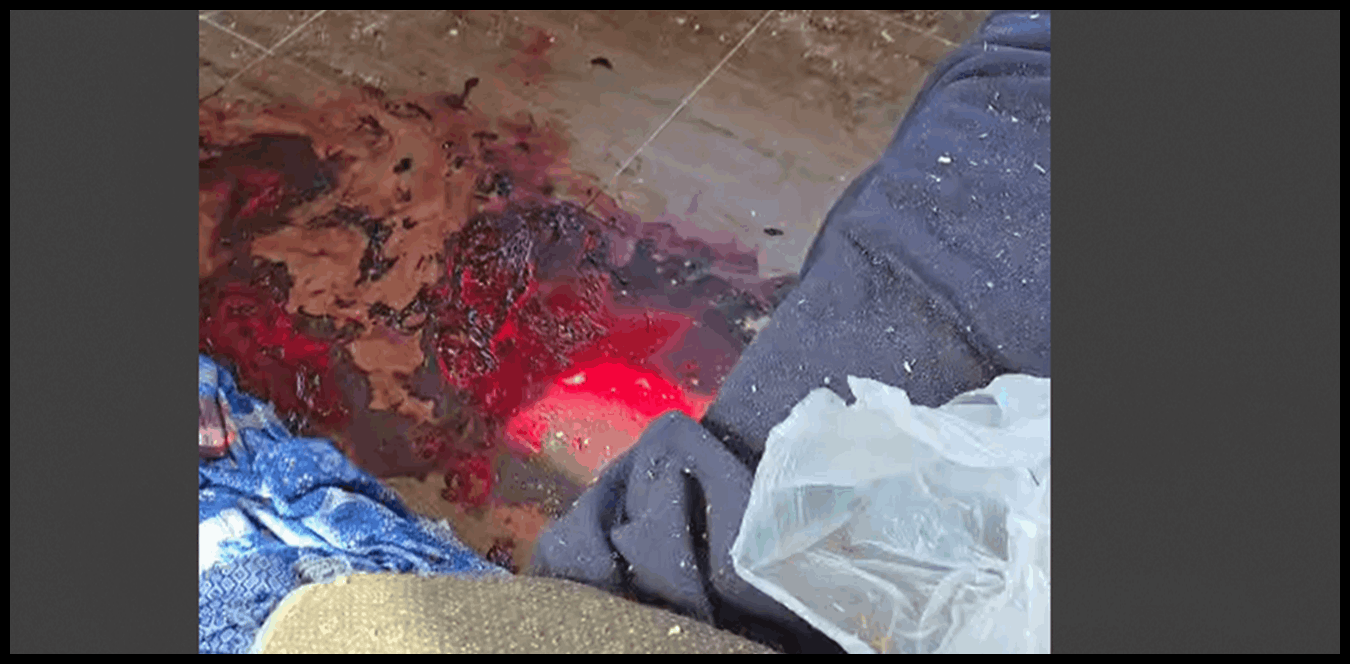 Doc P 1435970 638974324240215437