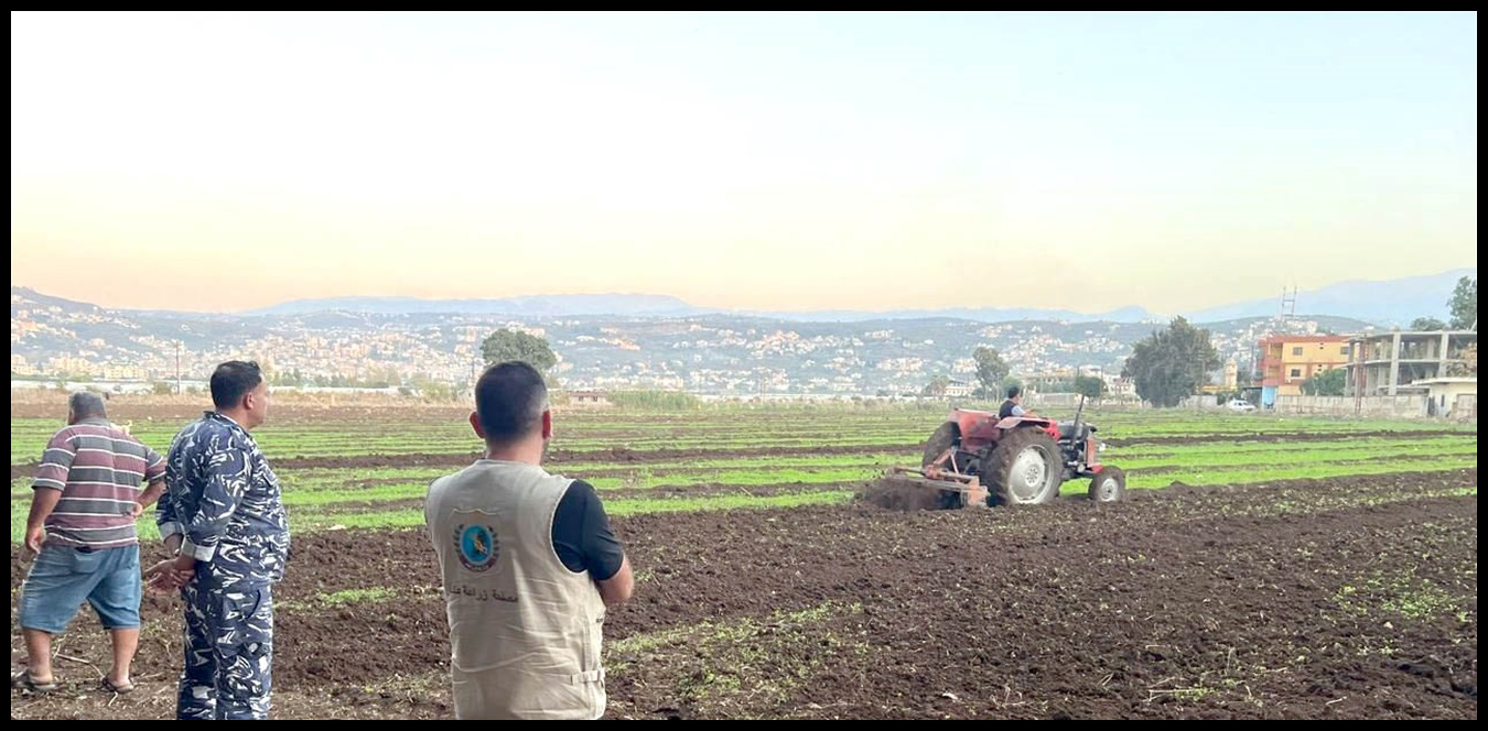 بالصورة.. إتلاف مزروعات غير مطابقة للمعايير الصحية 1 Doc P 1436318 638975024857720679