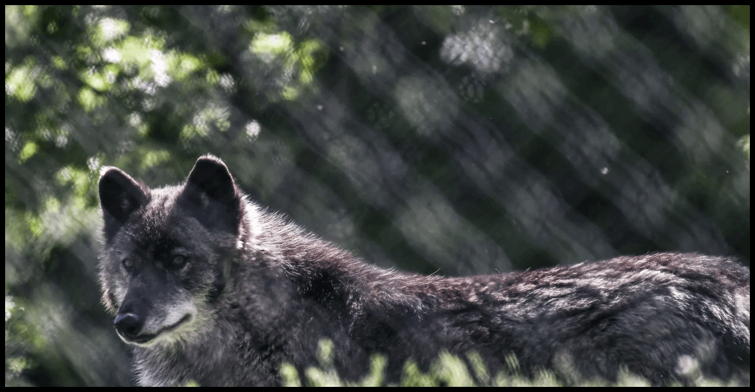 Doc P 545993 638952398866696552