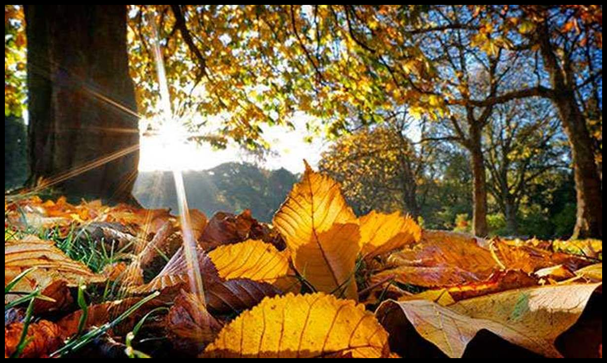 Doc P 547861 638973261920803844