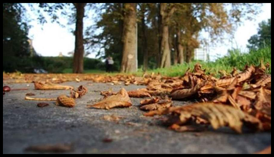 Doc T 882291 638951964096166063