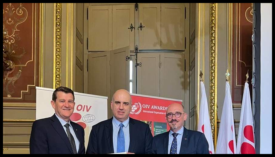 Doc T 886119 638968238265845331