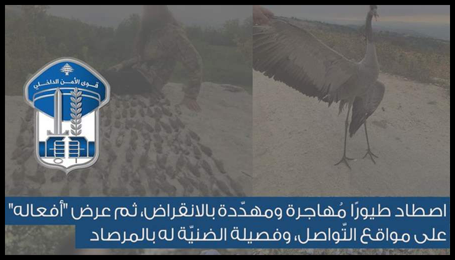 اصطاد طيورًا مُهاجرة ومهدّدة بالانقراض وعرض "أفعاله" على مواقع التّواصل... هذا مصيره 1 Doc T 886321 638969078116164056