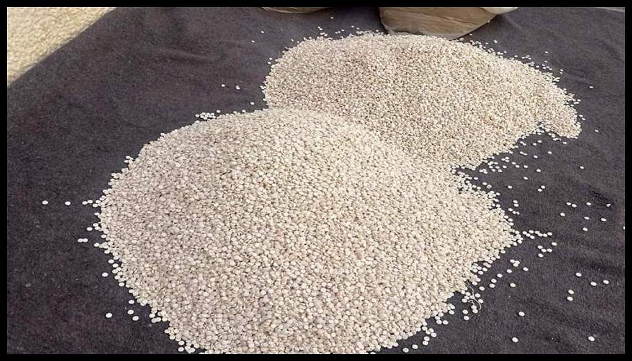 الداخلية السورية تعلن ضبط 11 مليون قرص كبتاغون قادمة من لبنان 1 Doc T 886934 638972454619404302