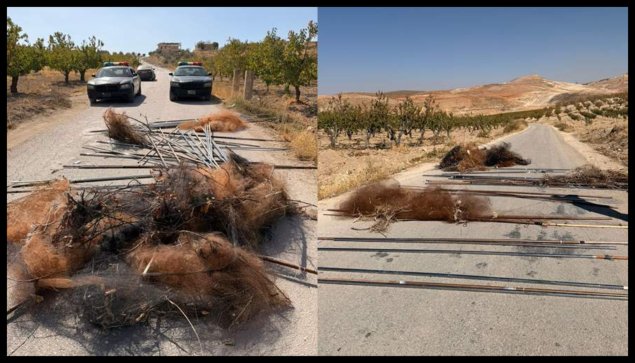 مفرزة استقصاء البقاع تُنقذ آلاف الطيور من شباك الصيد الجائر 1 Doc T 887234 638973554512139377