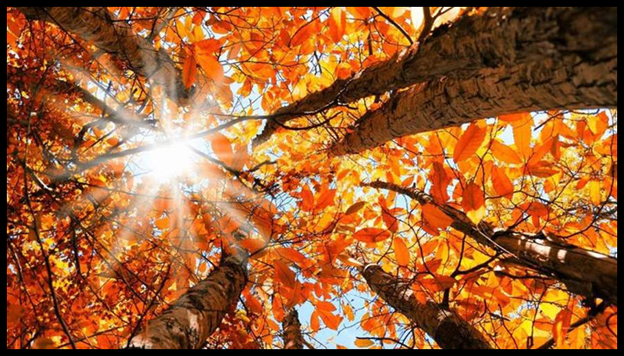 ارتفاع بدرجات الحرارة... إليكم تفاصيل طقس الـWeekend 1 Doc T 887486 638974903310196762