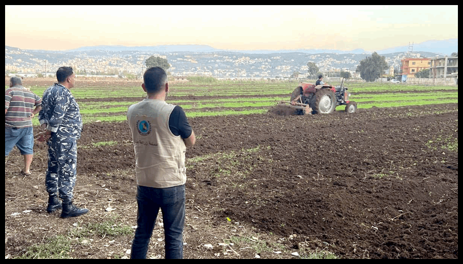 وزارة الزراعة تتحرّك لحماية سلامة الغذاء: إتلاف مزروعات غير مطابقة للمعايير الصحية 1 Doc T 887514 638974977983187170