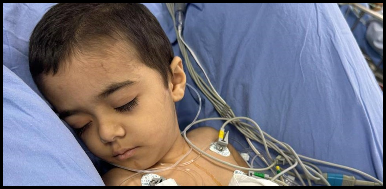 يواجه المرض الخبيث.. الطفل "سمسوم" بحاجة إلى مساعدة الأيادي البيضاء 1 Doc P 1436602 638975481262932305