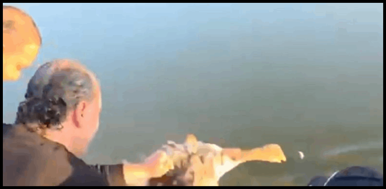 مصلحة زراعة عكّار تطلق عشرة طيور وزّ في بحيرة الكواشرة 1 Doc P 1436608 638975495675439759