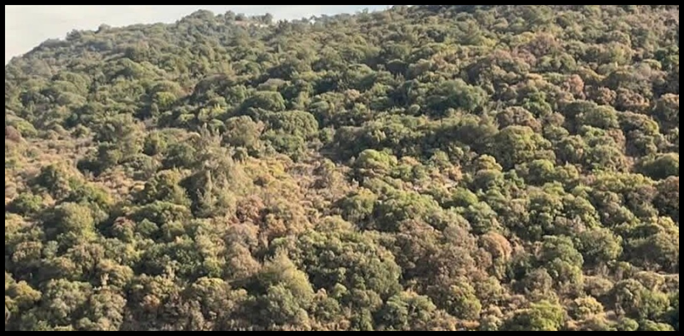 Doc P 1437384 638977581207721471