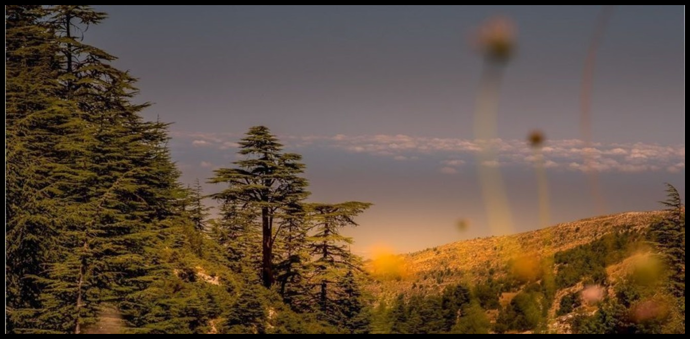 Doc P 1438078 638978896374666637