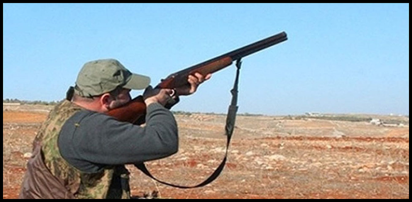 Doc P 1438253 638979322034397113