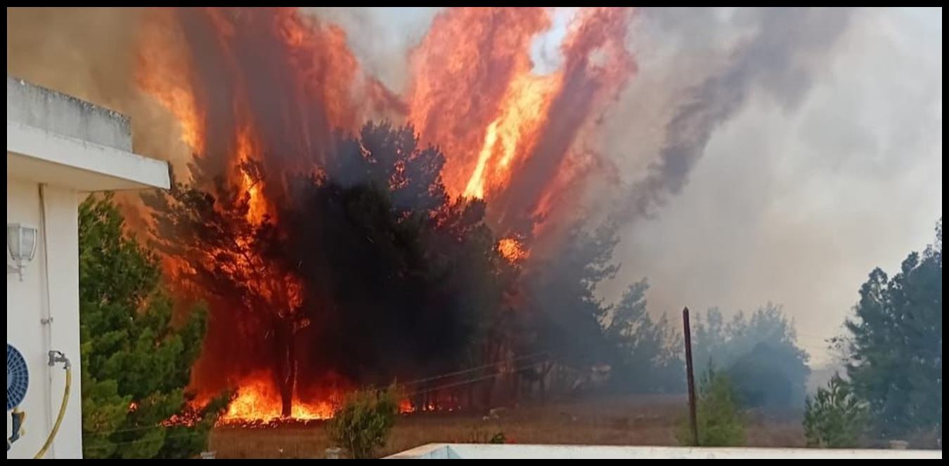 Doc P 1438387 638979477160078934