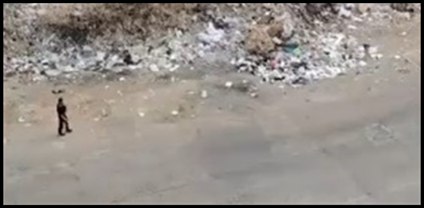 Doc P 1438418 638979548686112440