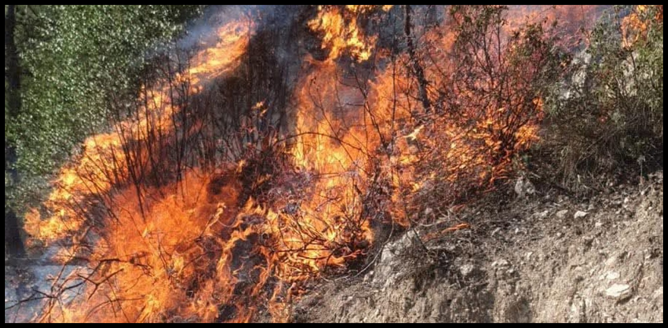 النيران اقتربت من المنازل.. اندلاع حريق كبير في حرج بلدة دبعل (صور) 1 Doc P 1438750 638980251510499863