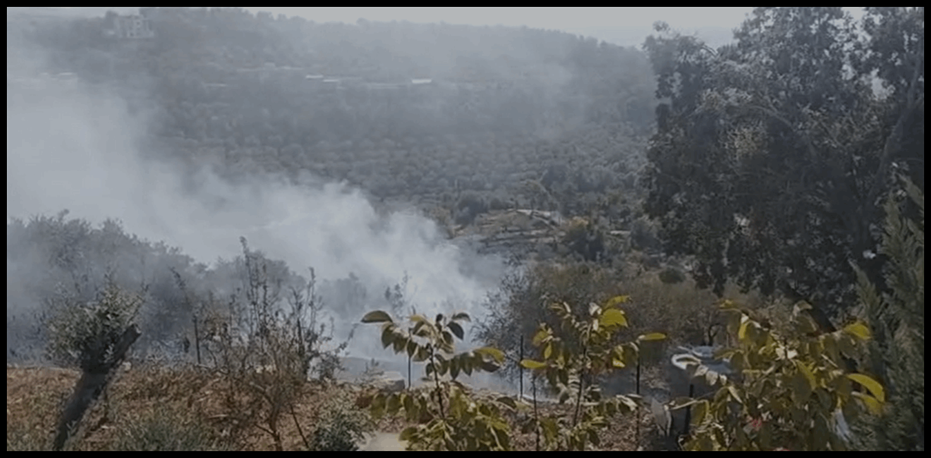 بالفيديو: حريق ضخم في بعقلين يهدد المنازل والأحراج 1 Doc P 1438779 638980303054572360