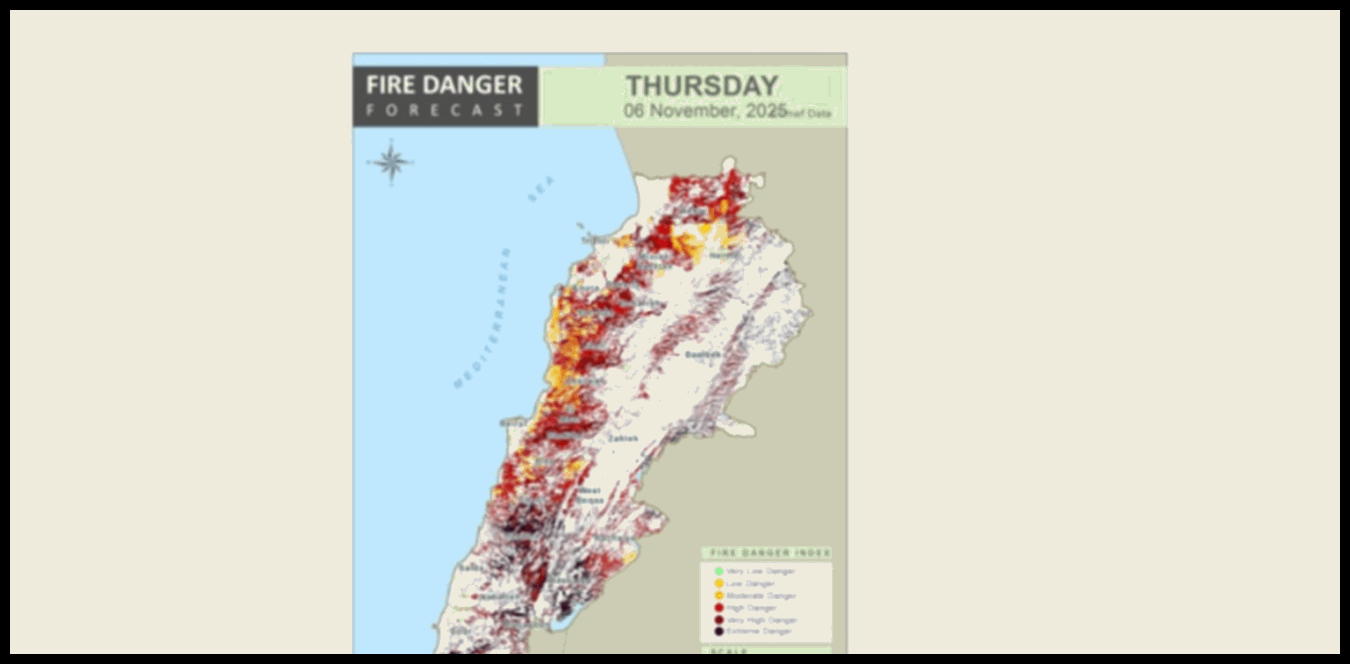 خبير بيئي يحذر: لبنان يواجه اليوم خطراً مرتفعاً جداً للحرائق 1 Doc P 1438820 638980378947733343