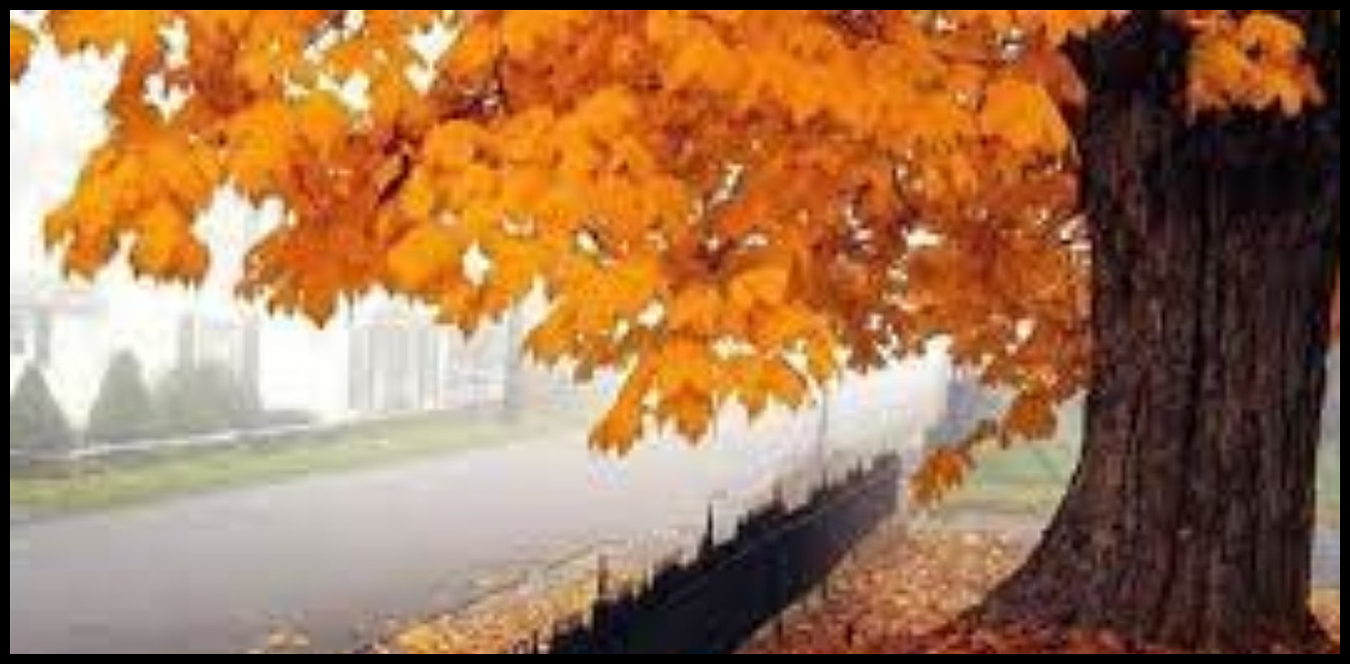 في نهاية الاسبوع.. طقس متقلب يسيطر على لبنان 1 Doc P 1439559 638981930527770736