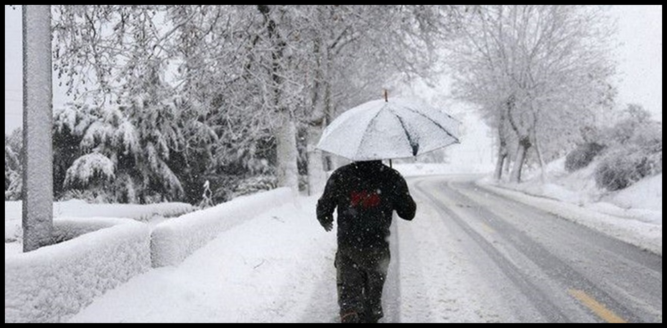 Doc P 1440230 638983566805505555