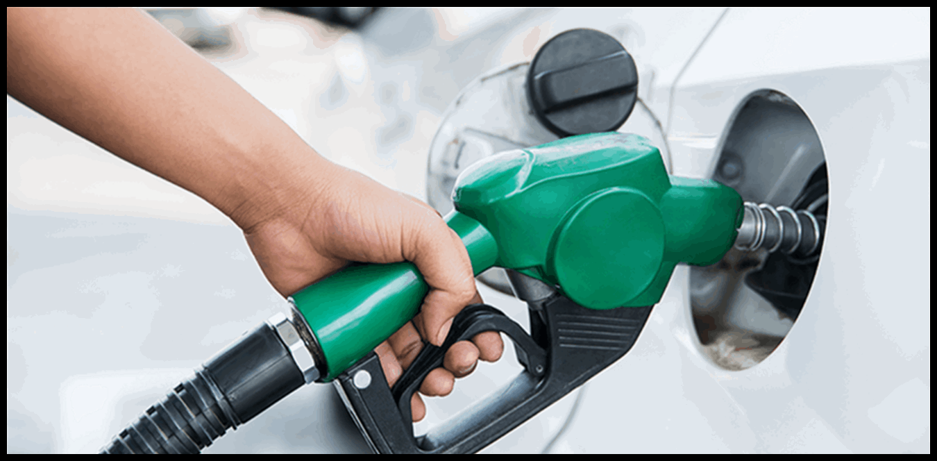 Doc P 1440630 638984071510338950