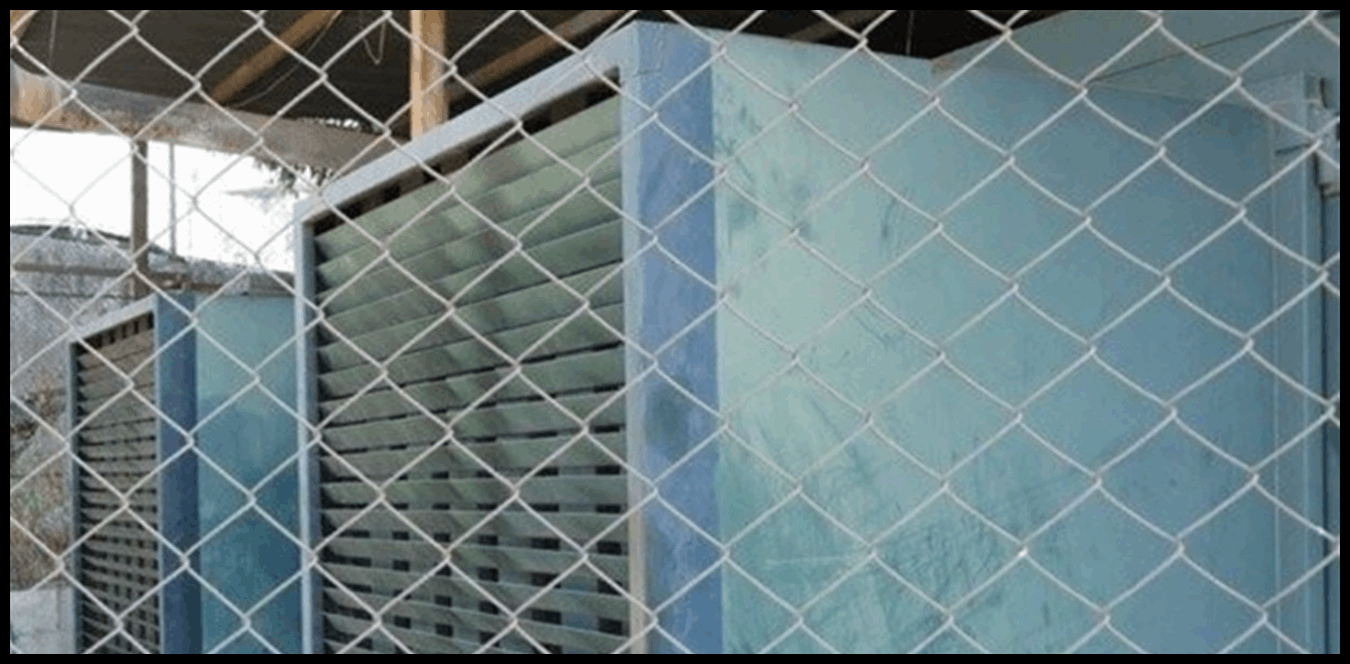 Doc P 1440982 638984815608965196