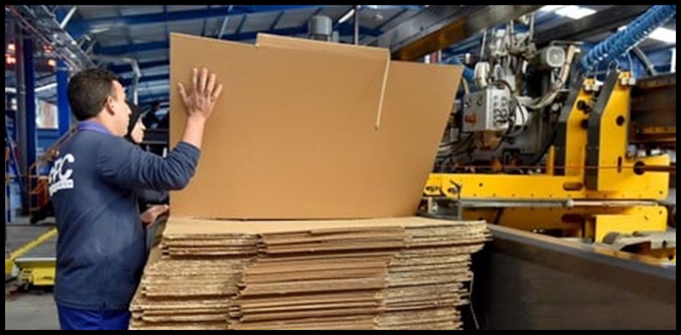 Doc P 1440994 638984833691568961