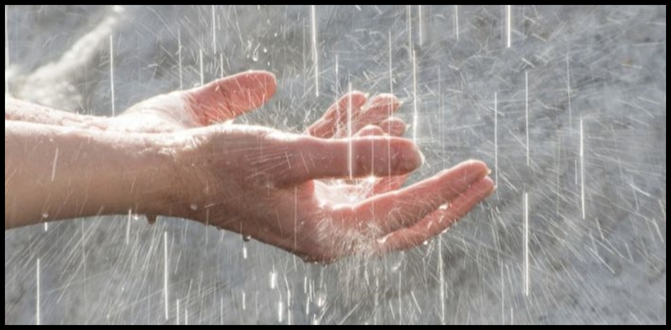 Doc P 1441193 638985353303348349