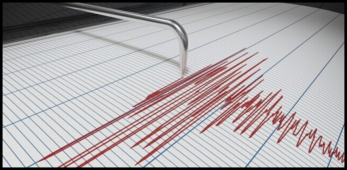 Doc P 1441269 638985444124678822