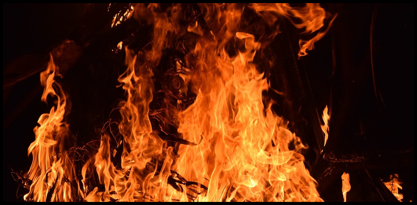 Doc P 1441409 638985682446290372