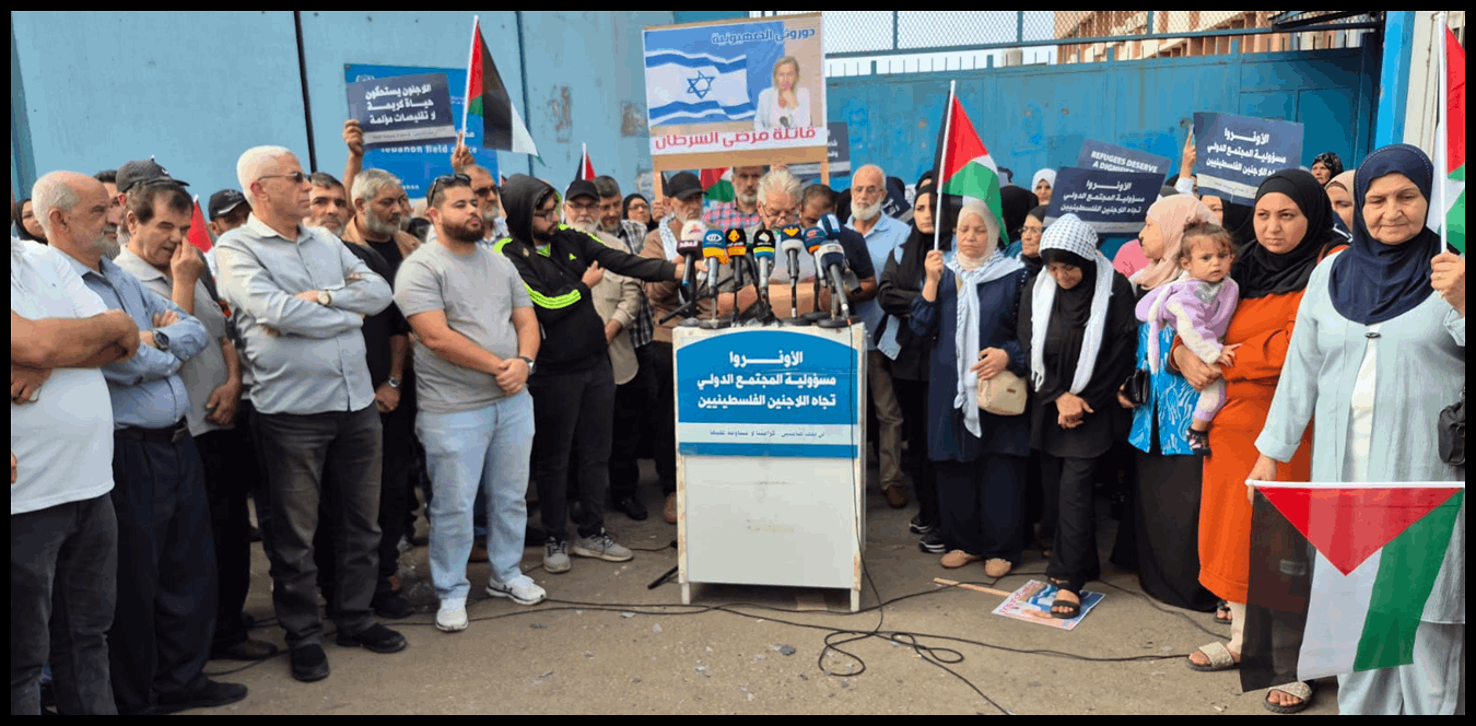 Doc P 1441522 638985884253121234