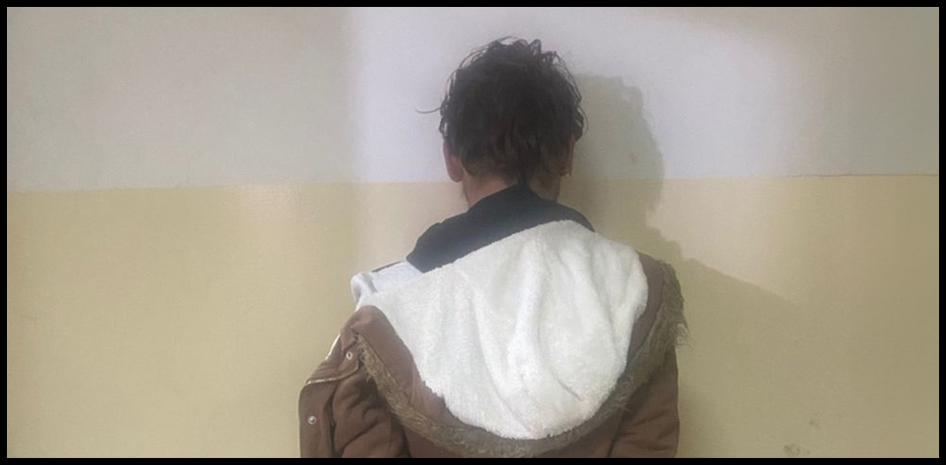 Doc P 1441724 638986323619605769