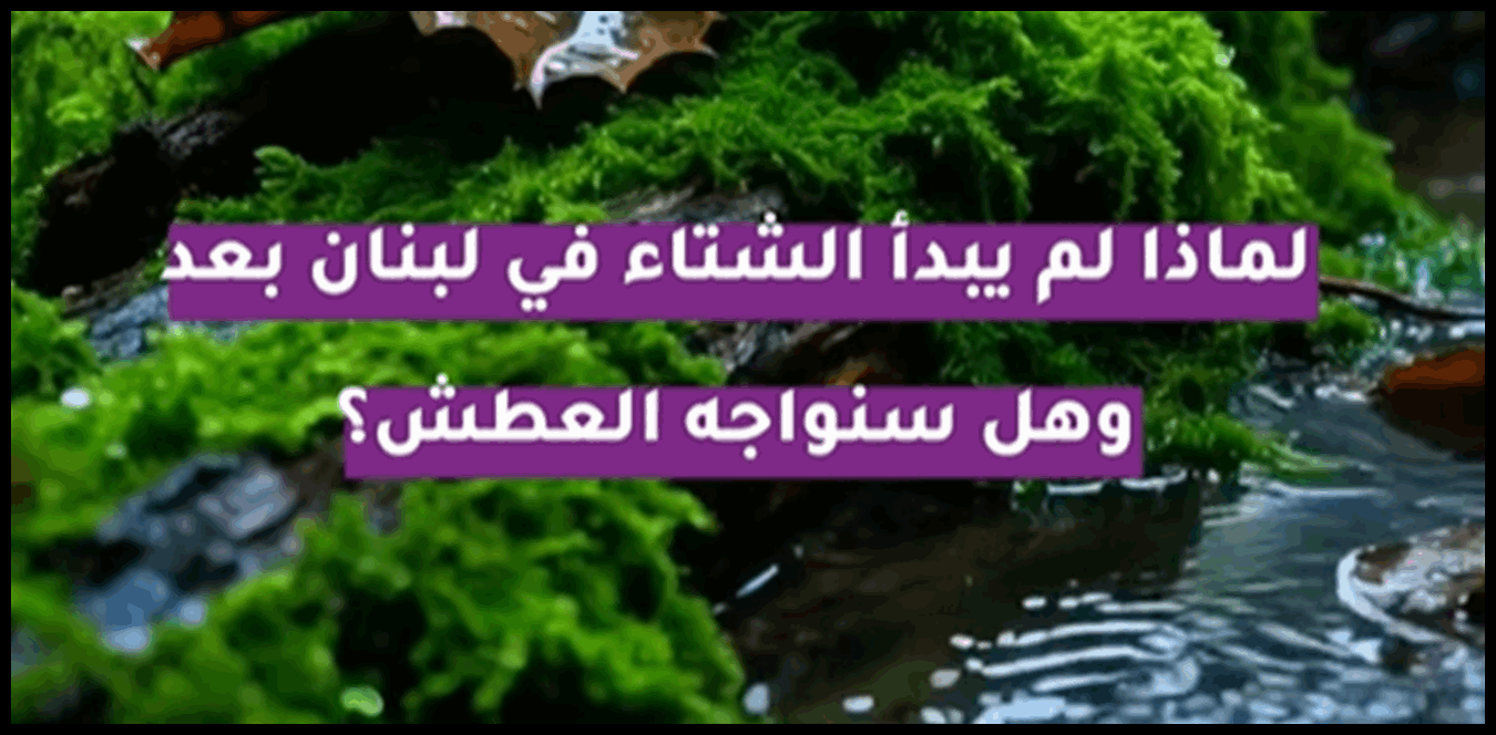 Doc P 1441759 638986386086626492